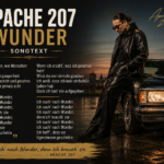 apache 207 wunder songtext