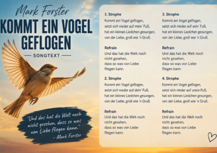mark forster kommt ein vogel geflogen songtext