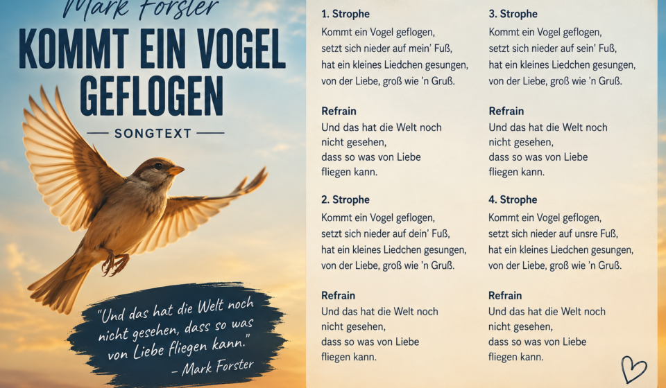 mark forster kommt ein vogel geflogen songtext