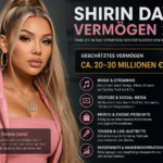 shirin david vermögen